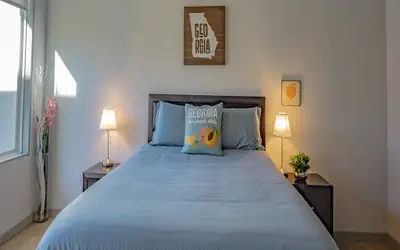 2BR Fully Furnished Apartment - Great location in Midtown