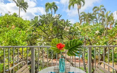 Napili Shores D229  Studio Condo