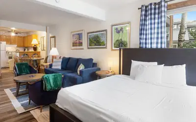 Ski-in/Ski-out Studio-Private Balcony & Fireplace