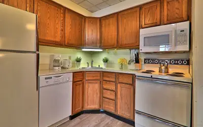 Mountain Green Condo 1D7 (To Ski, or Not to Ski)