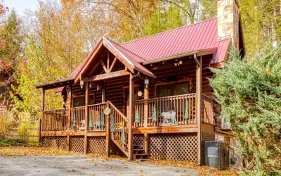 ER308 - The Cozy Bear