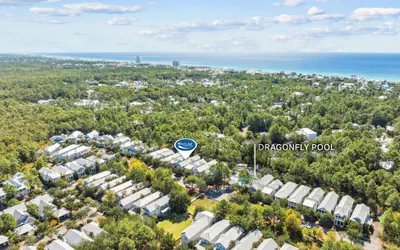 Seas the Day | 126 E Royal Fern