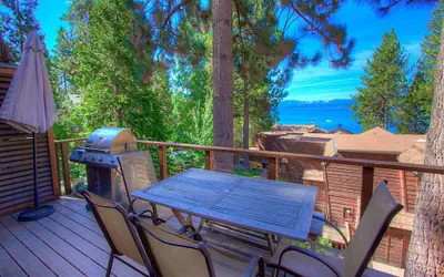 NSC0714 - Chipmunk's Paradise