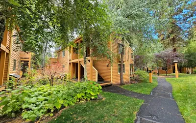 MCC0405 - Delightful McCloud