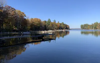 BLUEBERRY MORE LIMIT 17