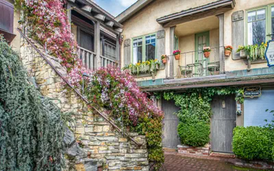 3795 The Artist's Way