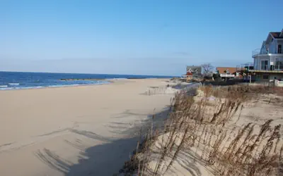 Cozy Suite - Pet friendly, Beach Side