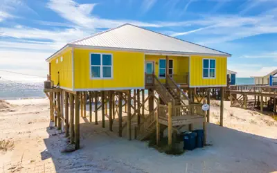 Banana Cabana - 105 Tampico