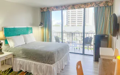 Homey Aqua Palms Studio