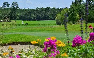 17C Fairway 17 Waterside at True Blue