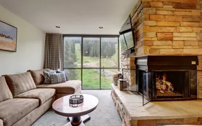 CJ308 Copper Junction