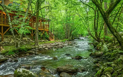 Elk Rapids on Cosby Creek