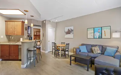 Telemark Studio #215