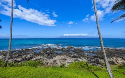 Napili Point Oceanfront Sunset Retreat - Unit A1
