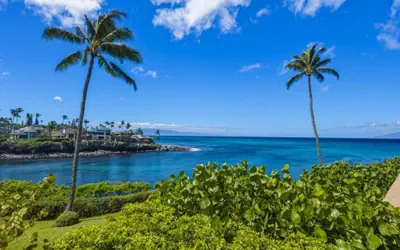 Napili Point Maui Oceanfront Stay 1BR - Unit B25