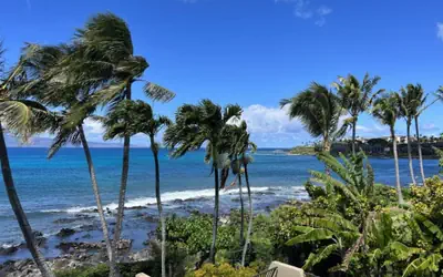 Napili Point Point Oceanfront 2BR Loft - Unit C2