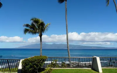 Napili Point Oceanfront Turtle Views - Unit B1