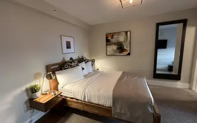 Modern 1 Bed/1 Bath/ Downtown Pelham St