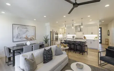 The Frightened Turtle