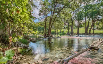 WW D101 Splish Splash