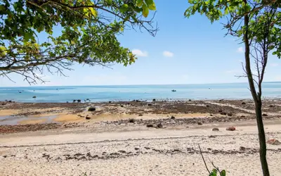 Ocean Views & Private Beach 3BR Nature Escape