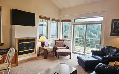 Schweitzer PM: 1BR+Loft - Lazier 307 Condo