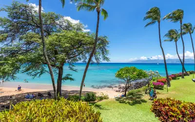Kuleana  713  1 Bedroom Condo