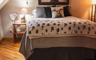 Moose Room | Rustic Colorado Lodge Escape