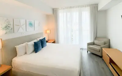 Amazing One Bedroom Apartment Great Location