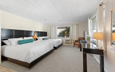 Ground-Floor Studio w/ 2 King Beds & Kitchenette (103)