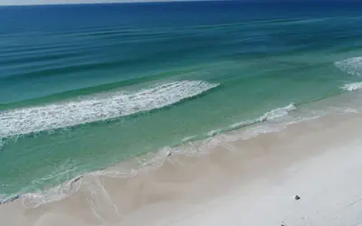 Ocean Mist