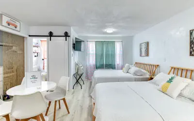 Pineapple 3 Shores Retro Inn 3