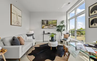 Dublin's Delight: An Oasis of Luxury