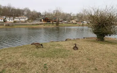 Idlewild at Duck Harbor Resort