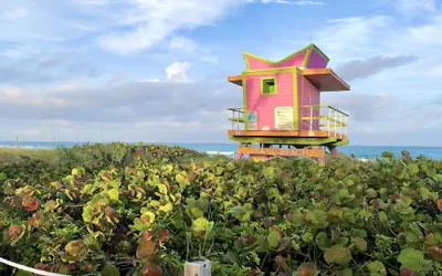 Seacoast by Miami Ambassadors