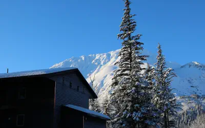 Spruce Lodge