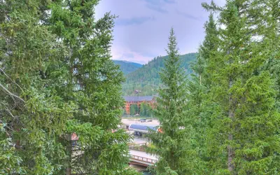 Luxurious 2 Br In River Run Village Featuring Ski In Ski-out, No Cleaning Fees 2 Bedroom Condo by RedAwning