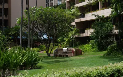 Sands Of Kahana 315 2bd/2ba Oceanfront 2 Bedroom Condo by RedAwning