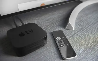 The Grant by Black Swan