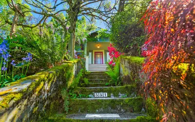 Enchanted Path to a Gardenscape