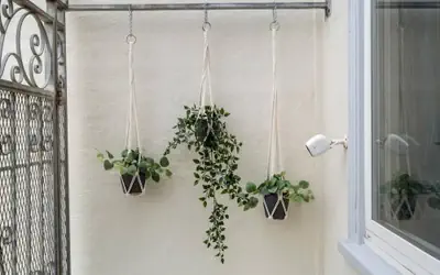 Stunning 2 Bedroom 1 Bath Home near BART