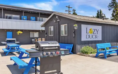 The Lazy Duck Inn