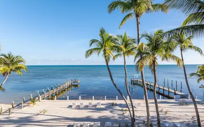 Pines & Palms Resort