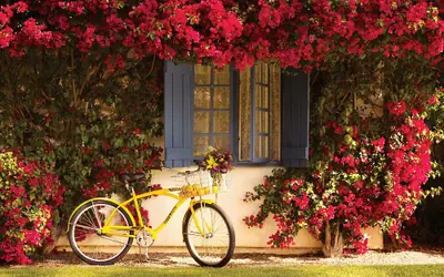 La Quinta Resort & Club, Curio Collection by Hilton