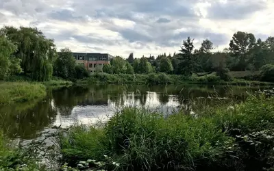 Residence Inn by Marriott Seattle Northeast-Bothell