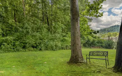 Best Western Asheville Blue Ridge Parkway