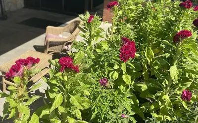 Super 8 by Wyndham Fort Scott