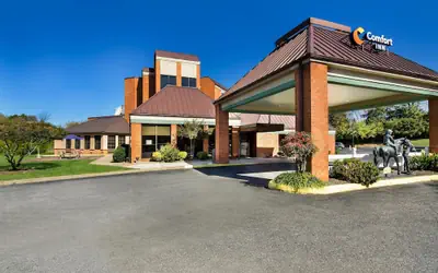 Comfort Inn Lexington Virginia Horse Center