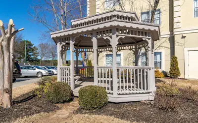 Comfort Inn & Suites near Six Flags