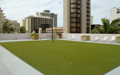 Royal Kuhio